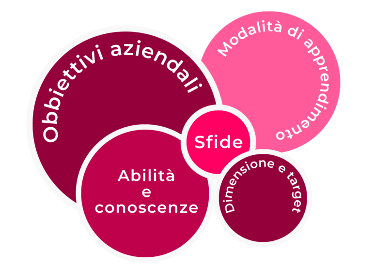 Schema programma di formazione aziendale